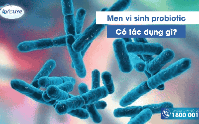 Men vi sinh Probiotic có tác dụng gì? 13 Tác dụng bất ngờ bạn chưa biết